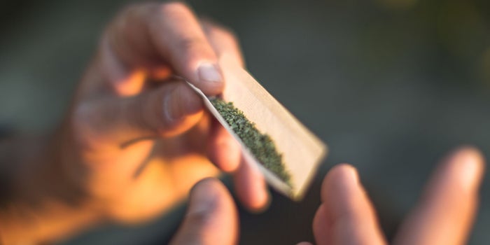 The Venerable Joint Has a Long History and a Bright Pre-Rolled Future