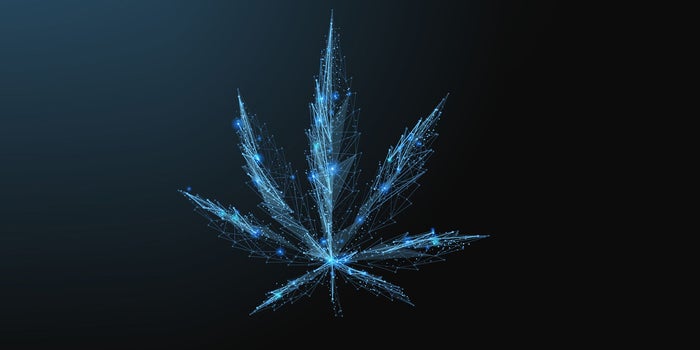 Overlooking This One Thing Can Stop Your Cannabis Business in Its Tracks
