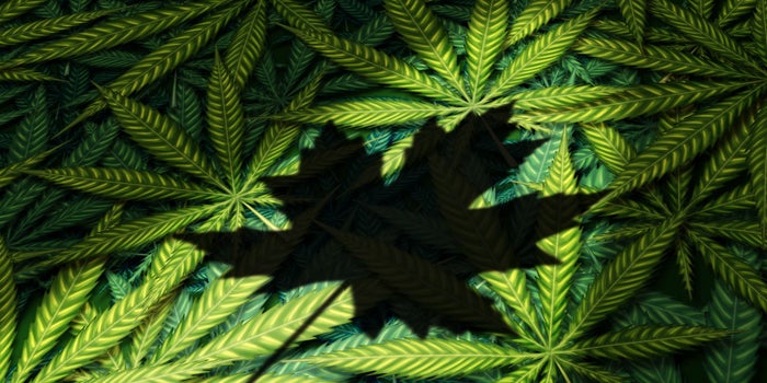 7 Interesting Things to Know About Canada's Legalization of Marijuana