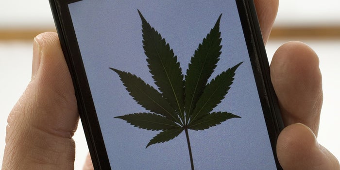Marketers Are Overcoming Unique Challenges to Build Campaigns for the Nascent Cannabis Industry