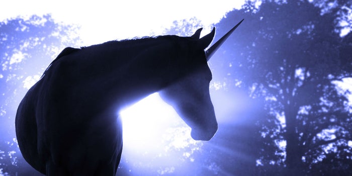 Él quiere crear el unicornio tecnológico de América Latina