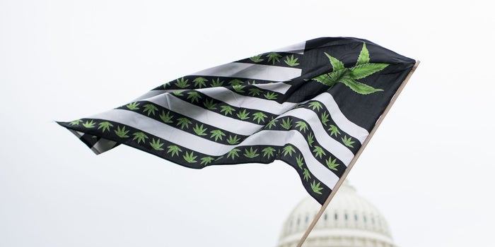 Latest Gallup Poll Finds a Big Majority of Americans Support Legal Marijuana