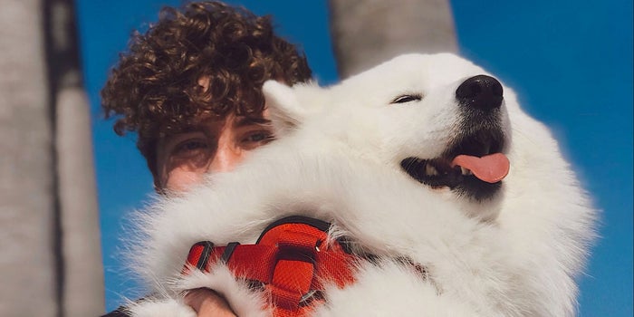Este joven emprendedor gana miles de dólares al mes por publicar fotos lindas de perros
