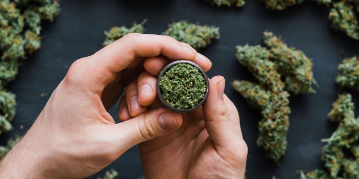 Your Cannabis Company Was Acquired. Now What?