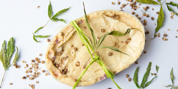 10 Ways Companies Are Getting Creative With Cannabis. Is One of These Segments for You?