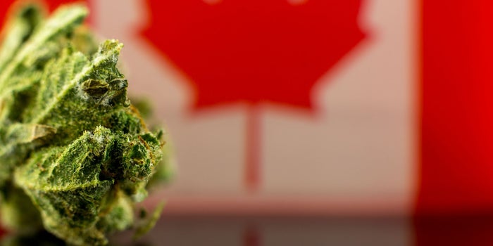 What American Tourists Need to Know About Canadian Marijuana Legalization