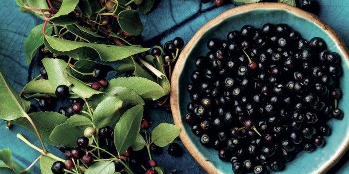 Especial: Cómo las berries mexicanas 'derrumbaron' el muro de Trump