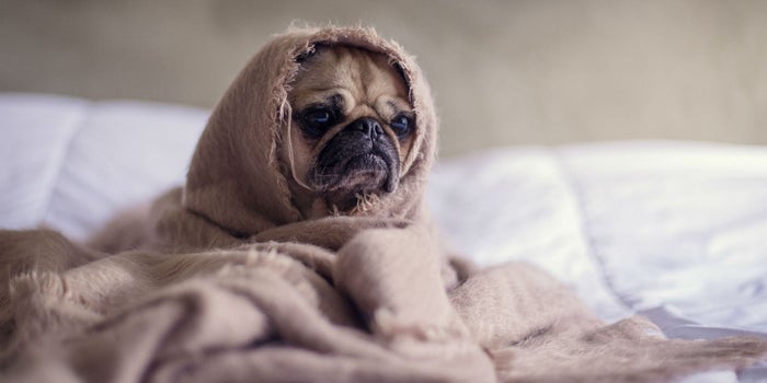 5 formas de ser productivo antes de pararte de tu cama (aunque no quieras)