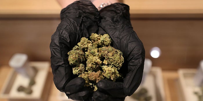 State Regulators Consider Better Ways to Determine Who Controls Cannabis Business