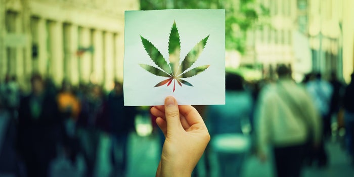 New Jersey Takes a Big, and Long Awaited, Step Toward Full Legalization