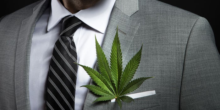 The Green Industry Goes White Collar