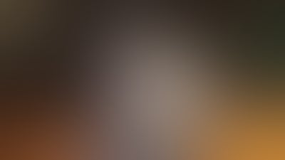 Ford Created A Noise Canceling Doghouse Ford Created A Noise Canceling Doghouse