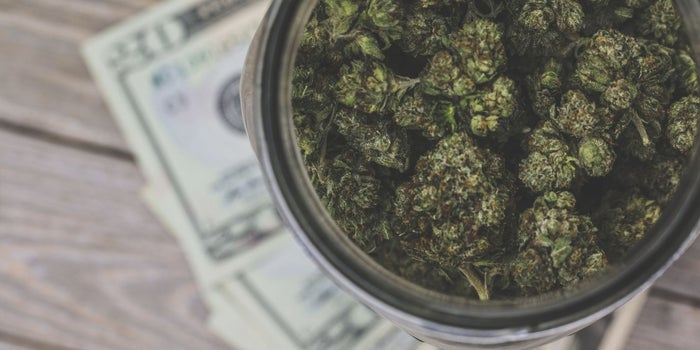Maryland Marijuana Sales Double the Forecast