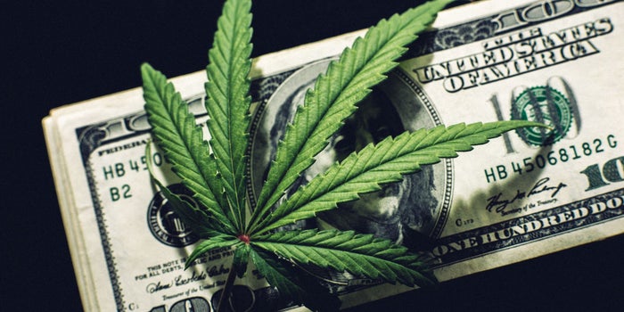 The Cannabis M&A Boom Is Looking Like the Dot.com Boom. Here's How to Avoid the Bust.