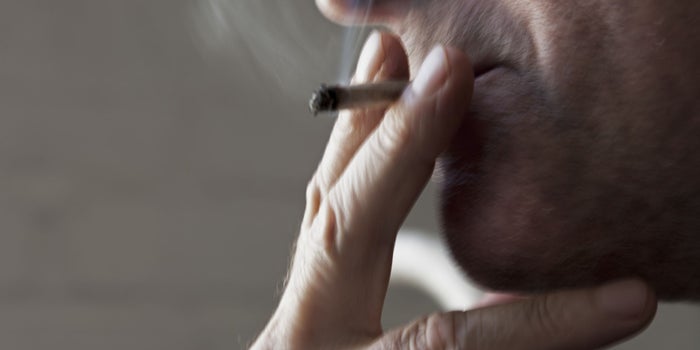 Here's What the Average Cannabis Consumer in Canada Looks Like