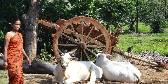 #Budget2019: Government Aims For Rural Industrialization