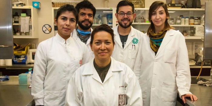 ¡Huleum! Científicos del IPN eliminan en un 100% el virus del papiloma humano