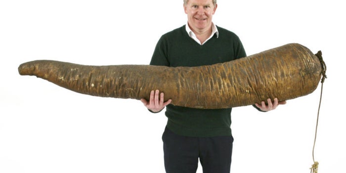¿El vendedor del año? Logró vender un pene de ballena por 115 mil pesos