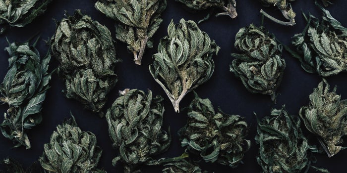 5 New Cannabis Trends You Need to Know