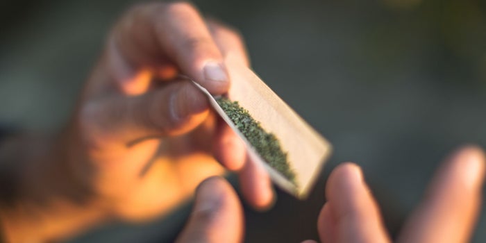 Adult-Use Marijuana Is a 'No-Brainer' for Two Florida Lawmakers but Just a 'No' for Most