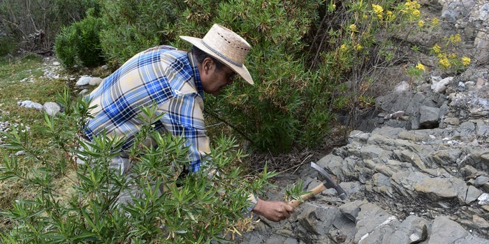Este emprendedor de 62 años quiere quitarle la sed a México con presas subterráneas