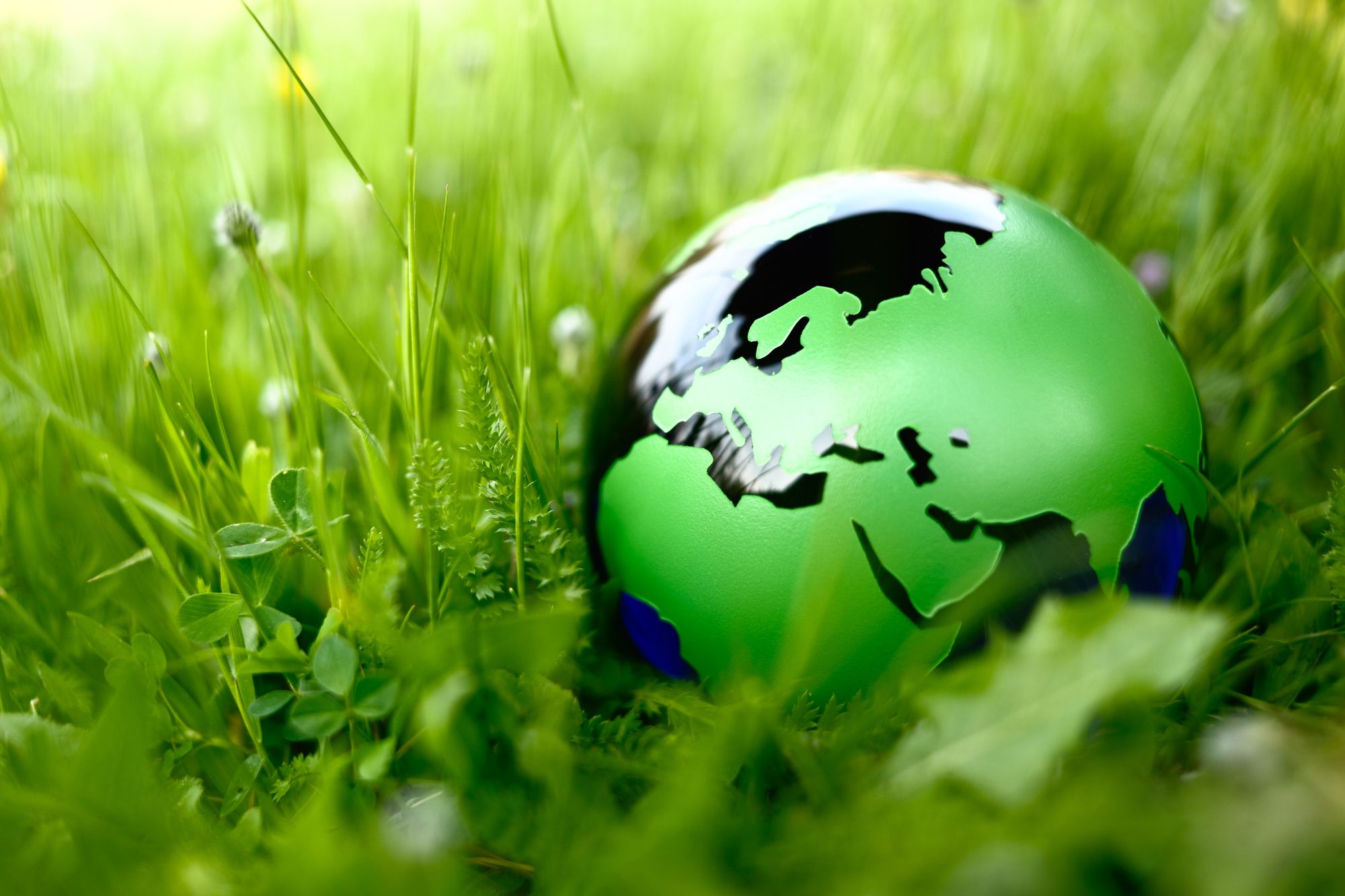 The Far-Reaching Impact of Embedding a Sustainable Workplace Culture for World Earth Day -- Today! -