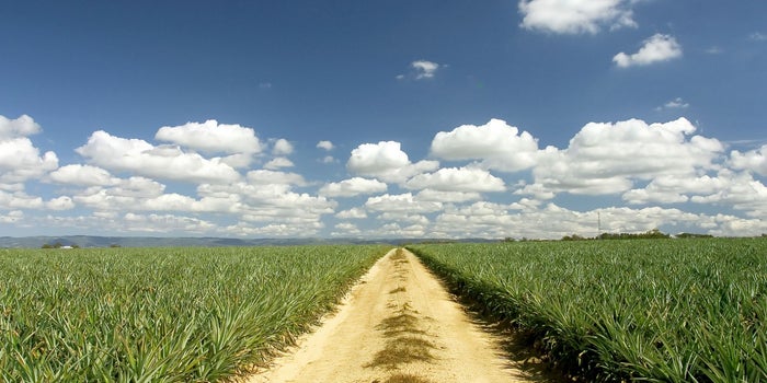 Olvídate de los atajos: el camino al éxito se logra con pasos lentos y cortos... ¡y duele!