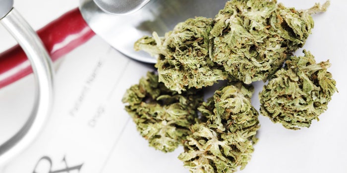New Jersey Needs at Least 15 More Cultivators to Supply Projected Increase in Medical Marijuana Patients