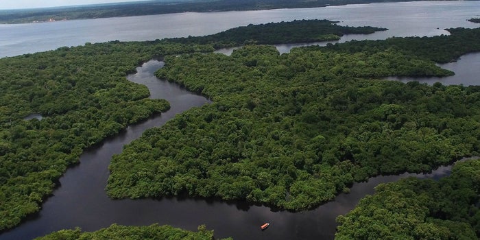 Quién lo diría: la protección estricta del Amazonas fomenta la productividad agrícola en Brasil