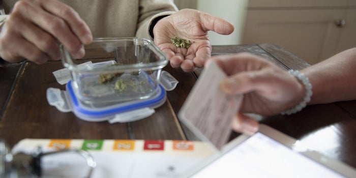 Recent Research Bolsters the Case That Cannabis Benefits Seniors