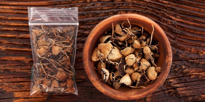 Denver Voters Decriminalize 'Magic Mushrooms'