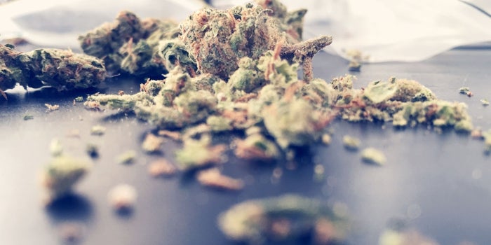 Compliance is kosteneffectief: 3 veel voorkomende manieren Cannabisoperators raken in de problemen