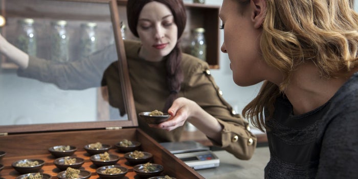 Women Cannabis Entrepreneurs Unite: We Are Better Together