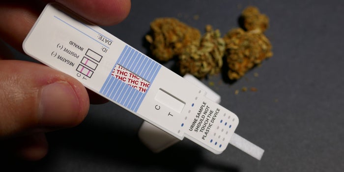 Pot Smokers in Nevada No Longer Need to 'Study' for That Pre-Employment Drug Test