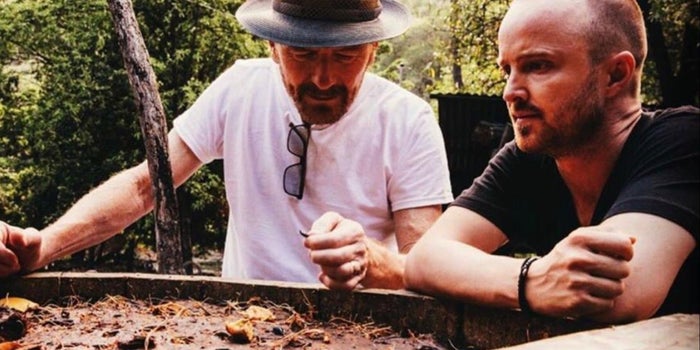 De la televisión a los negocios: Los protagonistas de Breaking Bad lanzan su propia marca de mezcal hecha en México