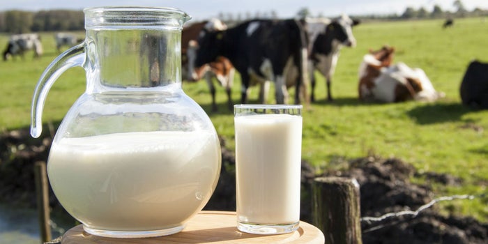 Danone y el Banco Interamericano de Desarrollo te ayudan a implementar tecnología para tu negocio lechero