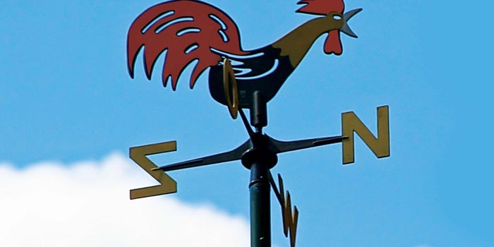 Nando's Calls On Local Designers To Put Their Best Pitch Forward