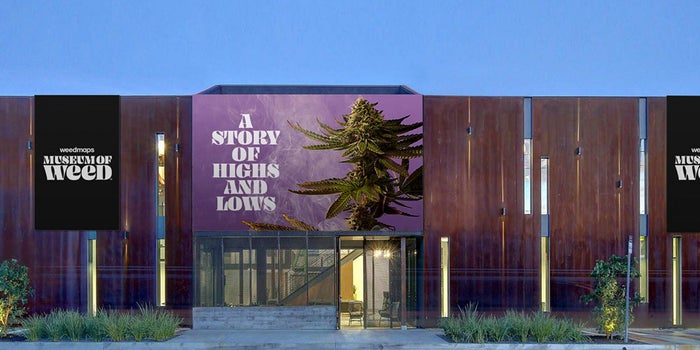 A Weed Museum Is Coming to Hollywood