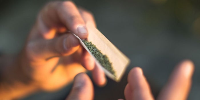 Personal Cannabis Preference Is Shaping Consumption -- and Forecasts Predict the Market Could Hit $28.9 Billion by 2022 (Infographic)