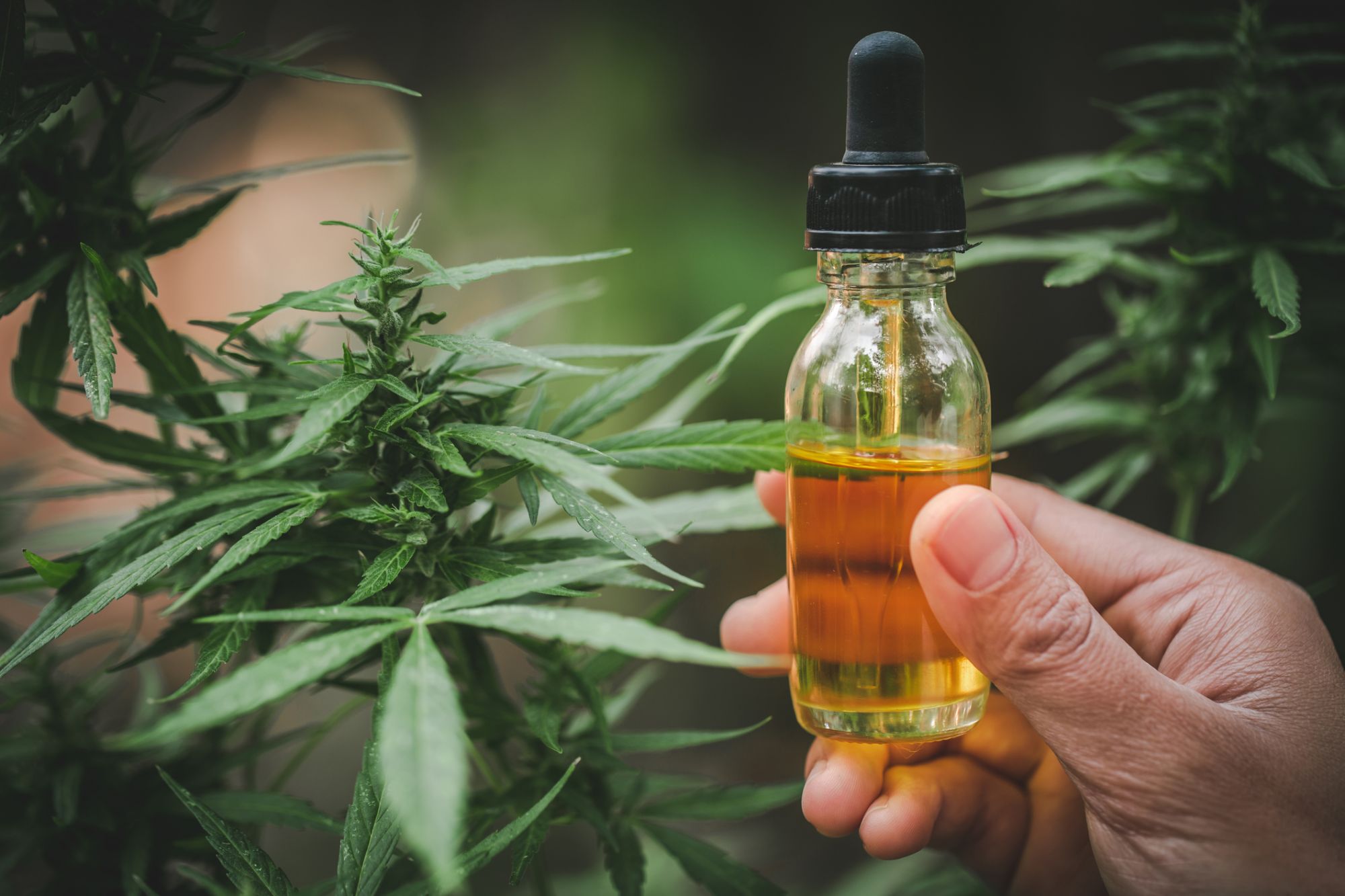 CBD-Tinkturen: 5 Dinge, die jeder Verbraucher wissen sollte | Unternehmer