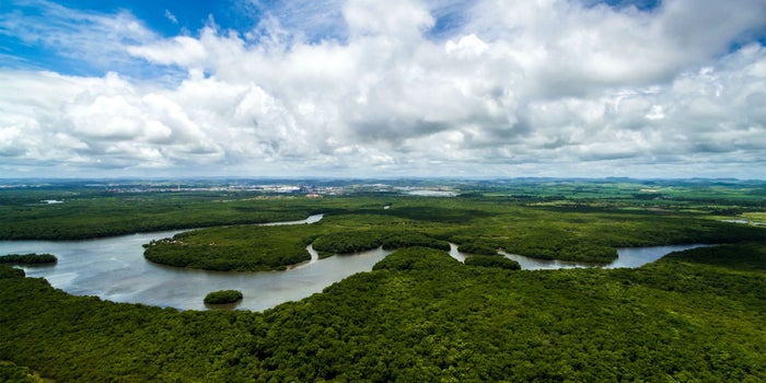 ¿Qué está pasando en Amazonas?