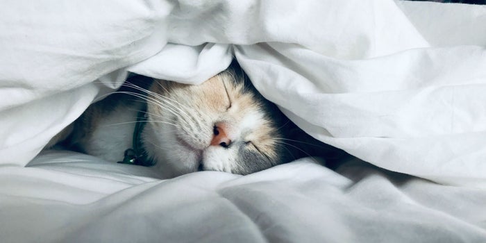 10 maneras de hacer una rutina nocturna para dormir como un bebé