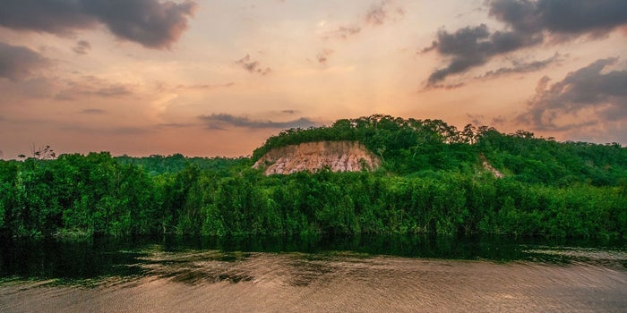Se quema Amazonia, ¿qué es lo que NO sabemos?