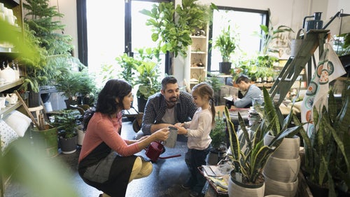 How to Innovate in a Small Family Store to Avoid Bankruptcy