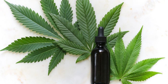 Esta es la empresa pública que podría crearse en México para la compra de cannabis y sus derivados