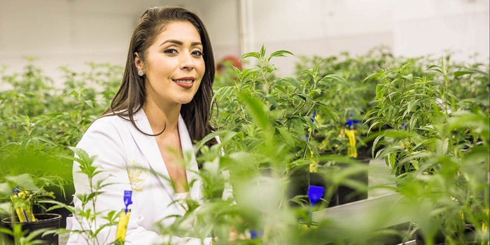Así fue como esta granjapreneur latina entró al negocio del cannabis en Estados Unidos