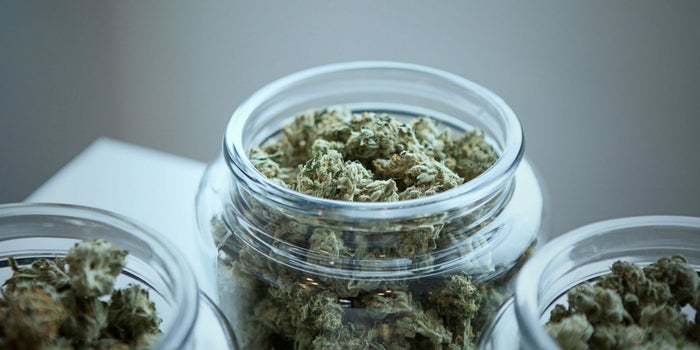La propuesta de ley para legalizar la marihuana en México busca eliminar los delitos relacionados con drogas