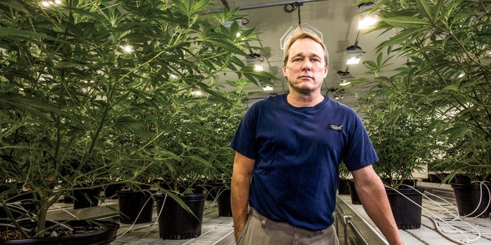 Bruce Linton Bets On The Next Big Things In Cannabis