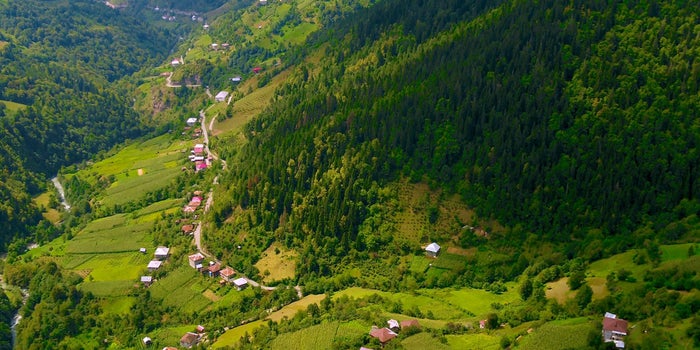 აღმოაჩინე აჭარის მთები - სოფლის ტურიზმის ახალი რგოლი