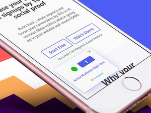 Streamline Your Website and Convert More Traffic With This Tool